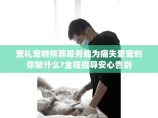 宠礼宠物殡葬服务能为痛失爱宠的你做什么?全程指导安心告别