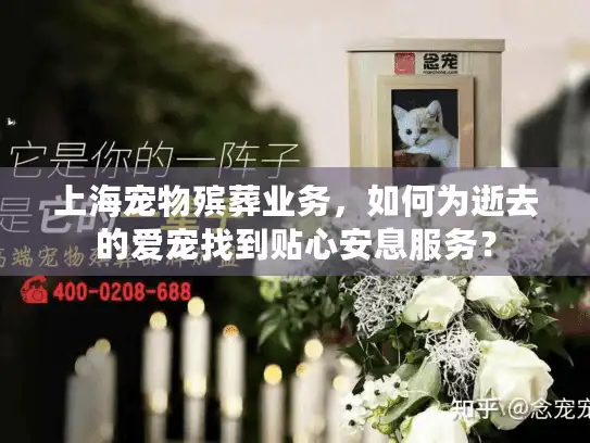 上海宠物殡葬业务，如何为逝去的爱宠找到贴心安息服务？