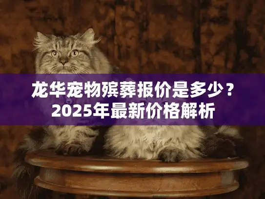 龙华宠物殡葬报价是多少？2025年最新价格解析