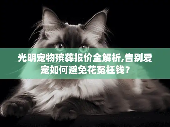 光明宠物殡葬报价全解析,告别爱宠如何避免花冤枉钱？