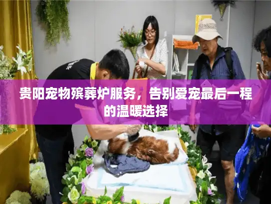 贵阳宠物殡葬炉服务，告别爱宠最后一程的温暖选择