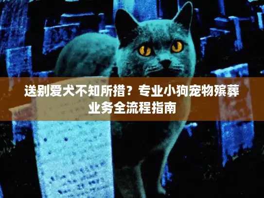 送别爱犬不知所措？专业小狗宠物殡葬业务全流程指南