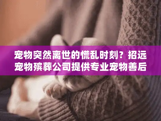 宠物突然离世的慌乱时刻？招远宠物殡葬公司提供专业宠物善后服务