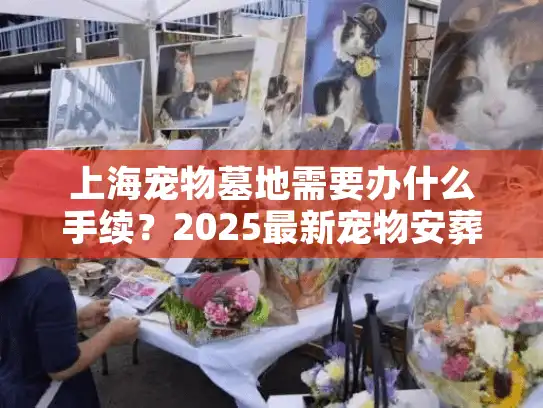 上海宠物墓地需要办什么手续？2025最新宠物安葬服务手续完整指南