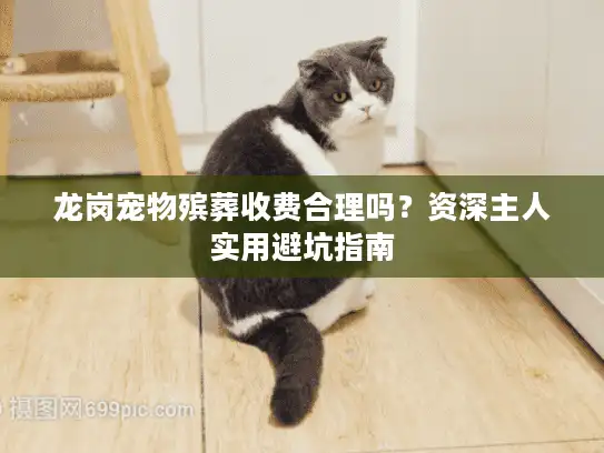 龙岗宠物殡葬收费合理吗？资深主人实用避坑指南