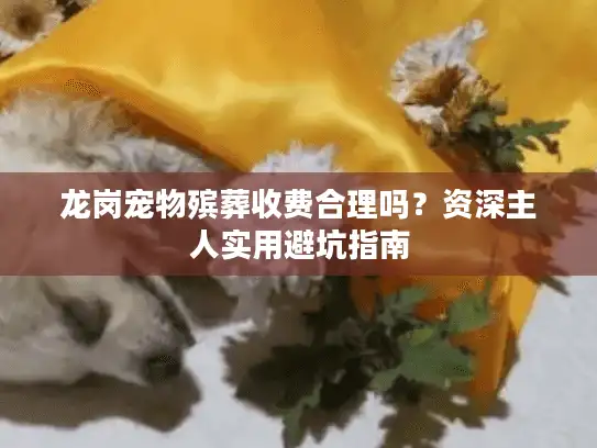 龙岗宠物殡葬收费合理吗？资深主人实用避坑指南