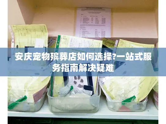 安庆宠物殡葬店如何选择?一站式服务指南解决疑难