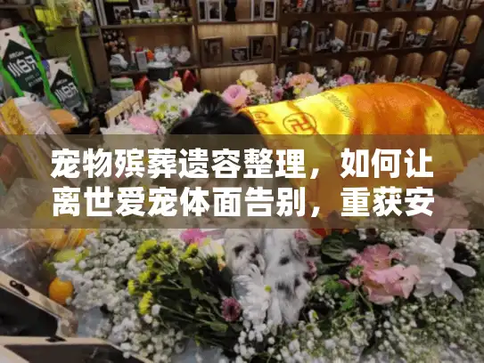 宠物殡葬遗容整理，如何让离世爱宠体面告别，重获安详面容？