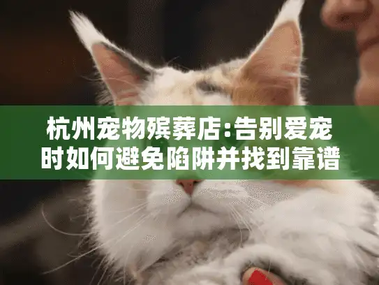 杭州宠物殡葬店:告别爱宠时如何避免陷阱并找到靠谱服务?