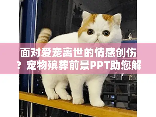 面对爱宠离世的情感创伤？宠物殡葬前景PPT助您解忧专业服务指南