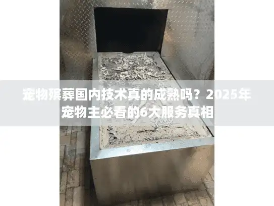 宠物殡葬国内技术真的成熟吗？2025年宠物主必看的6大服务真相