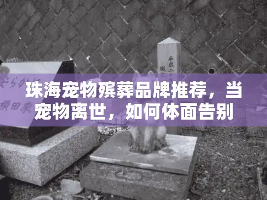 珠海宠物殡葬品牌推荐，当宠物离世，如何体面告别？