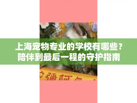 上海宠物专业的学校有哪些？陪伴到最后一程的守护指南