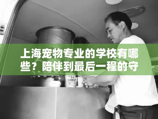 上海宠物专业的学校有哪些？陪伴到最后一程的守护指南