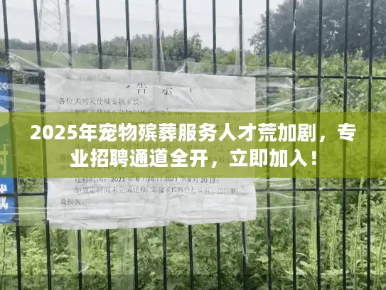 2025年宠物殡葬服务人才荒加剧，专业招聘通道全开，立即加入！