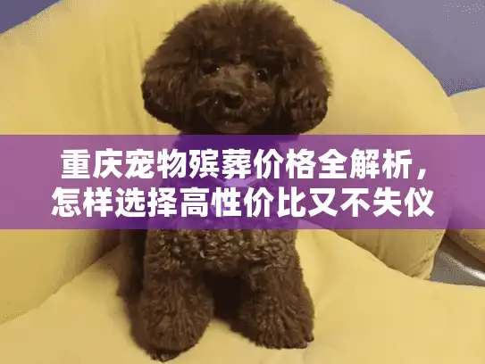 重庆宠物殡葬价格全解析，怎样选择高性价比又不失仪式感的告别服务？