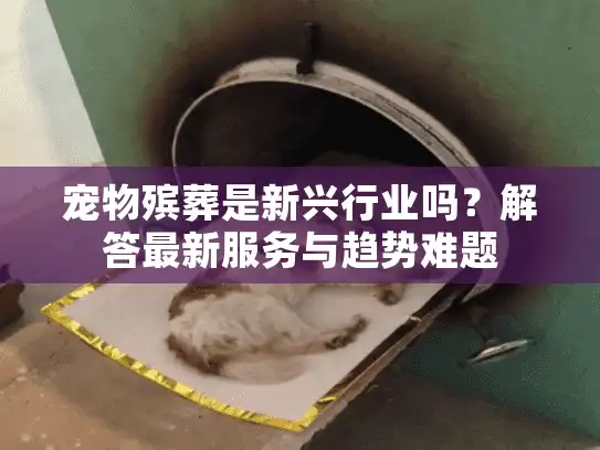 宠物殡葬是新兴行业吗？解答最新服务与趋势难题