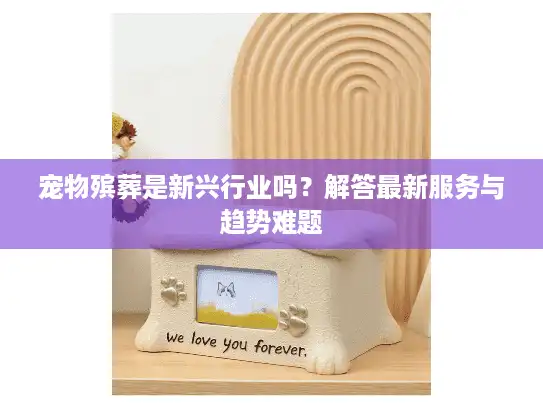 宠物殡葬是新兴行业吗？解答最新服务与趋势难题