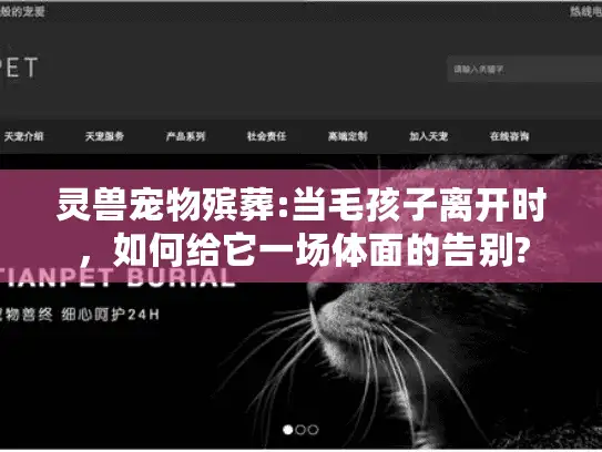 灵兽宠物殡葬:当毛孩子离开时，如何给它一场体面的告别?