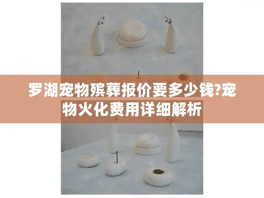 罗湖宠物殡葬报价要多少钱?宠物火化费用详细解析