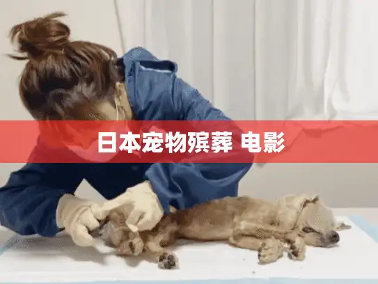 日本宠物殡葬 电影
