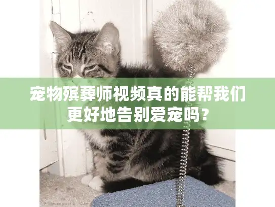 宠物殡葬师视频真的能帮我们更好地告别爱宠吗？