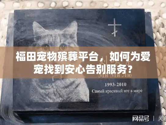 福田宠物殡葬平台，如何为爱宠找到安心告别服务？