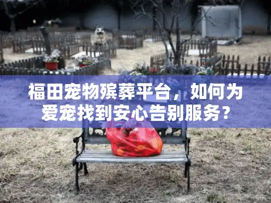 福田宠物殡葬平台，如何为爱宠找到安心告别服务？