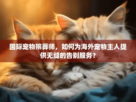 国际宠物殡葬师，如何为海外宠物主人提供无缝的告别服务？