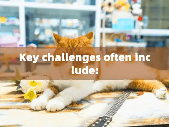 Key challenges often include: