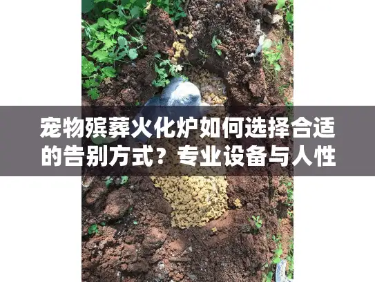 宠物殡葬火化炉如何选择合适的告别方式？专业设备与人性化服务全解析