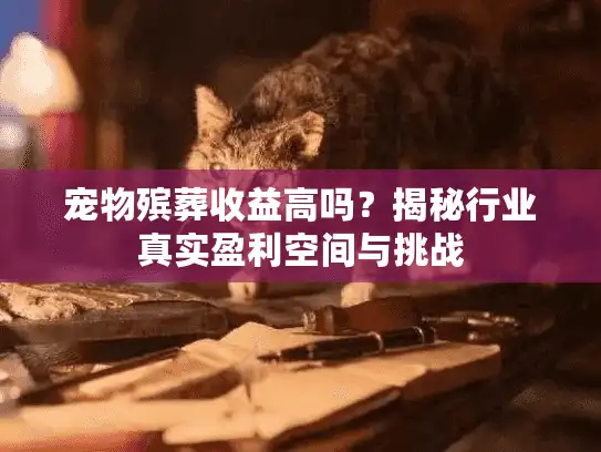 宠物殡葬收益高吗？揭秘行业真实盈利空间与挑战