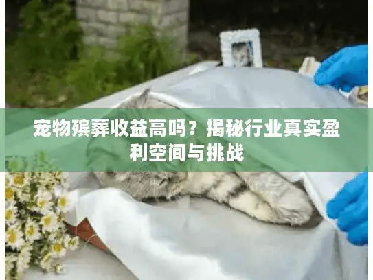 宠物殡葬收益高吗？揭秘行业真实盈利空间与挑战