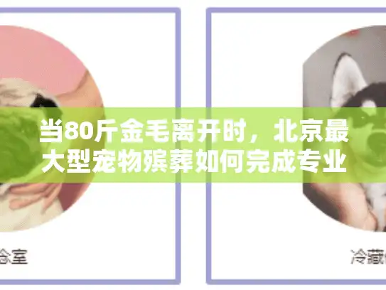 当80斤金毛离开时，北京最大型宠物殡葬如何完成专业告别？