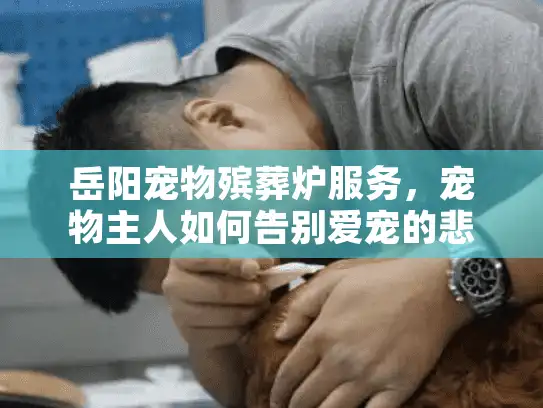 岳阳宠物殡葬炉服务，宠物主人如何告别爱宠的悲伤时刻？