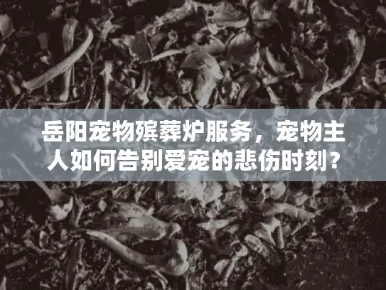 岳阳宠物殡葬炉服务，宠物主人如何告别爱宠的悲伤时刻？
