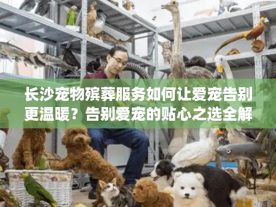 长沙宠物殡葬服务如何让爱宠告别更温暖？告别爱宠的贴心之选全解析
