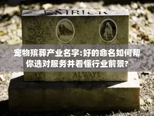 宠物殡葬产业名字:好的命名如何帮你选对服务并看懂行业前景?