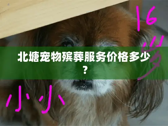 北塘宠物殡葬服务价格多少？