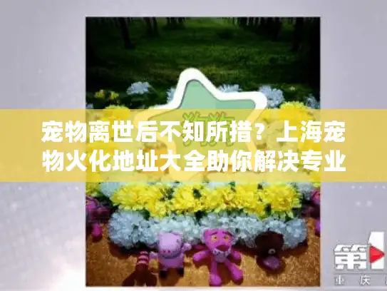 宠物离世后不知所措？上海宠物火化地址大全助你解决专业殡葬服务难题