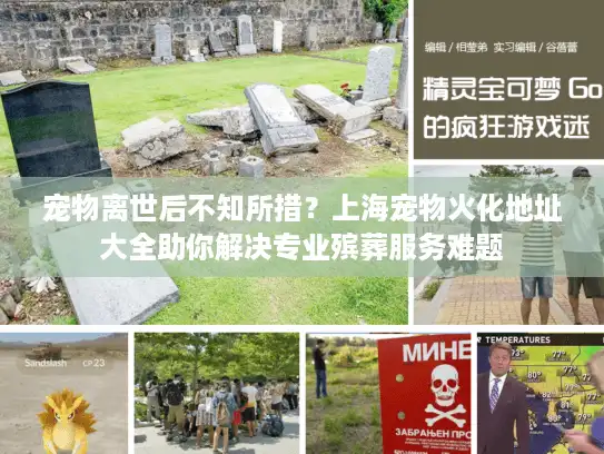 宠物离世后不知所措？上海宠物火化地址大全助你解决专业殡葬服务难题