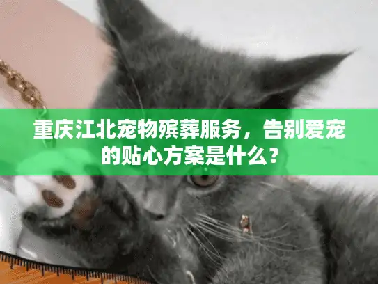 重庆江北宠物殡葬服务，告别爱宠的贴心方案是什么？