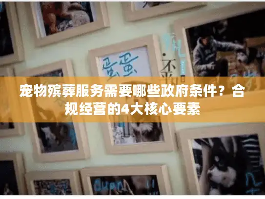 宠物殡葬服务需要哪些政府条件？合规经营的4大核心要素