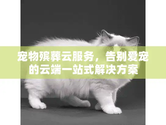 宠物殡葬云服务，告别爱宠的云端一站式解决方案