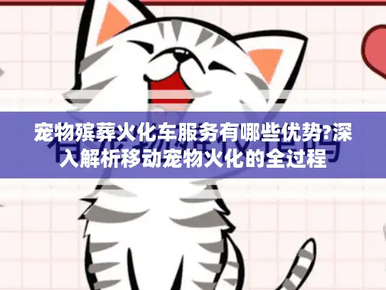 宠物殡葬火化车服务有哪些优势?深入解析移动宠物火化的全过程