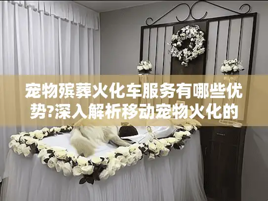 宠物殡葬火化车服务有哪些优势?深入解析移动宠物火化的全过程