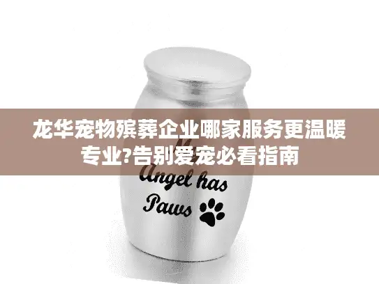 龙华宠物殡葬企业哪家服务更温暖专业?告别爱宠必看指南