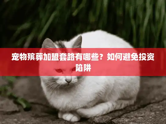 宠物殡葬加盟套路有哪些？如何避免投资陷阱