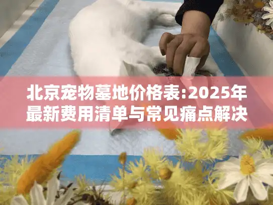 北京宠物墓地价格表:2025年最新费用清单与常见痛点解决指南