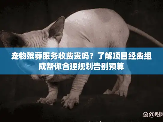 宠物殡葬服务收费贵吗？了解项目经费组成帮你合理规划告别预算